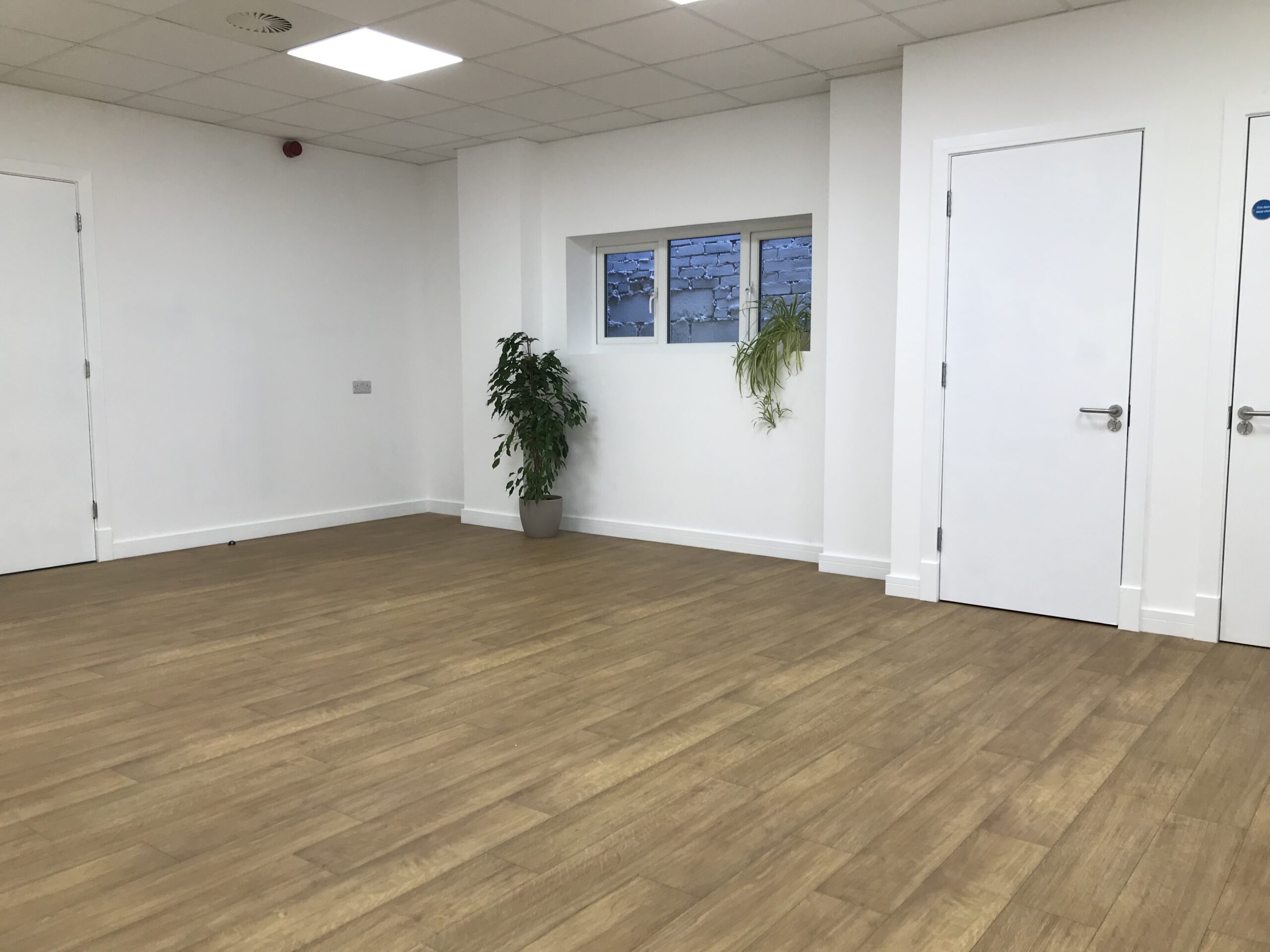 You are currently viewing March Newsletter – Focus on The Studio
